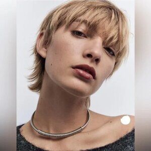 ✨Zara Silver Choker Necklace New ✨no 🏷️